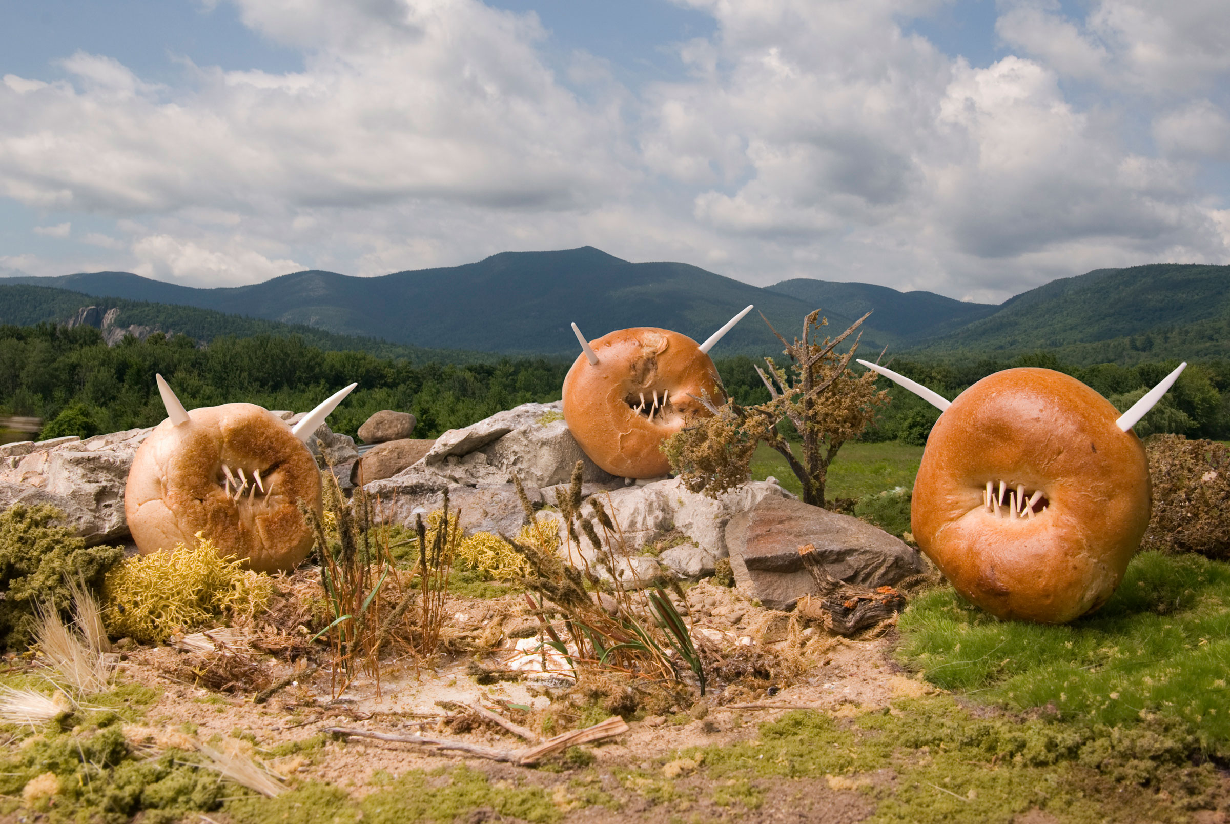 Mountain Bagels